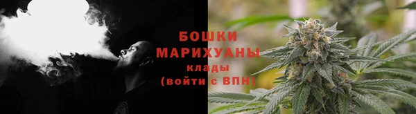 spice Алзамай