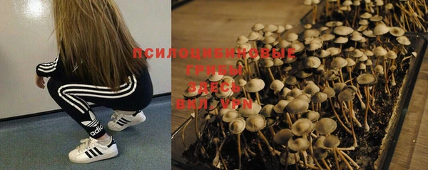 spice Алзамай
