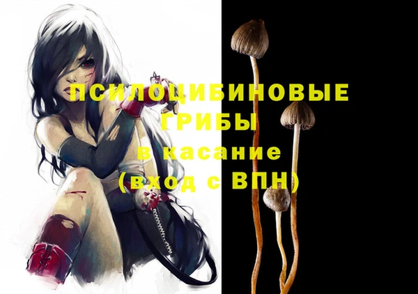 крисы Алексеевка