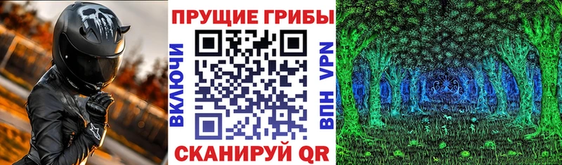 Галлюциногенные грибы Psilocybe  Алексин 