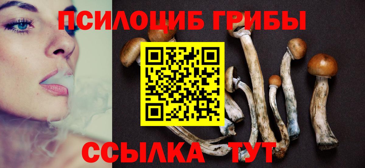 Псилоцибиновые грибы ЛСД Алексин