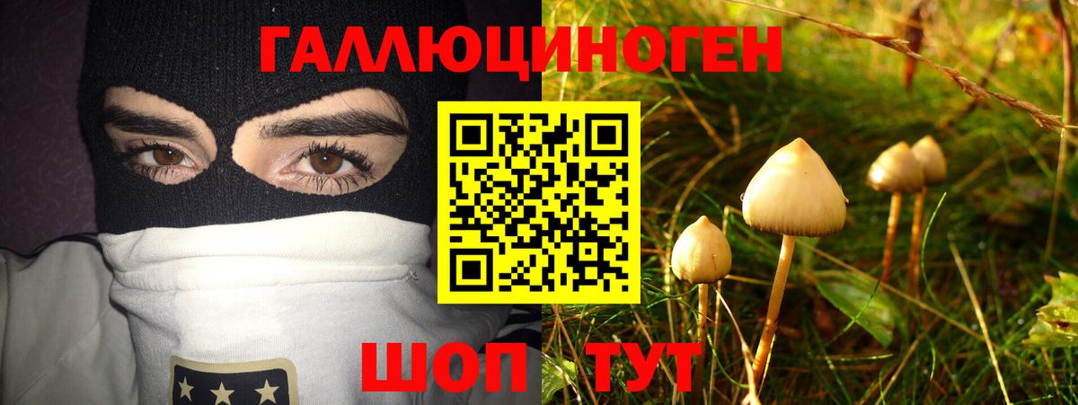 Псилоцибиновые грибы Magic Shrooms  Вход с VPN  Галлюциногенные грибы прущие грибы  Алексин 